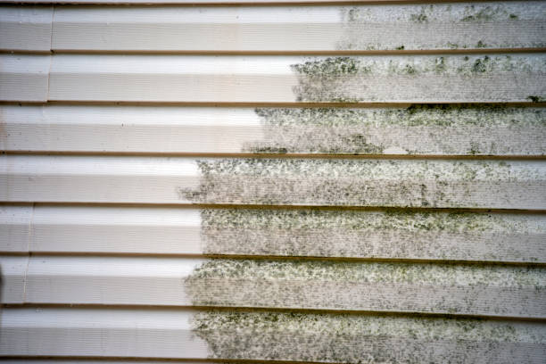 Best Attic Cleanout  in Newton, MA